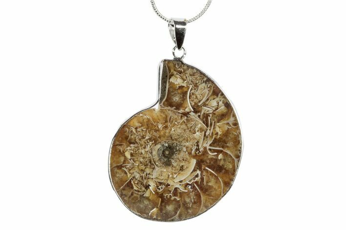 Fossil Ammonite Pendant - Million Years Old #238500